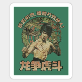 Kung Fu Dragon 1973 Sticker